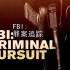 【纪录片】FBI罪案追踪 全2季 FBI Criminal Pursuit