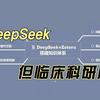 DeepSeek，但科研牛马版