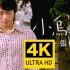 【4K修复】张栋梁 - 小乌龟(电视剧《微笑Pasta》插曲) MV 2160P修复版