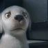 导盲犬暖心动画短片《Pip》1080P