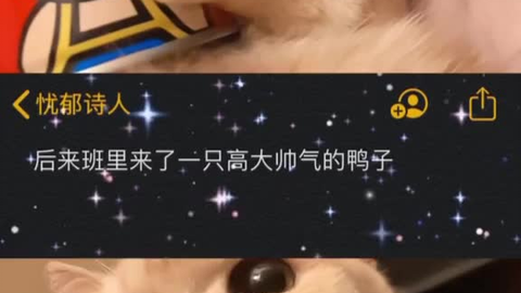 bd6dccf8a20bf068ed5ff1469af7491664746aa5.png@480w_270h_1c
