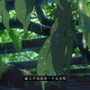 浴室里没有人，水是我开的