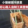 小猫被困沟渠里，好心路人自制工具营救，网友：人善良，猫聪明