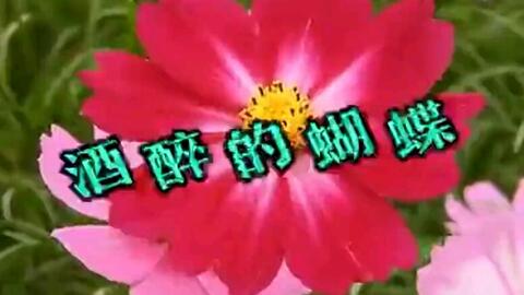 bda9bcfc73ff00180996d121c6e5f4cecb55e3bf.jpg@480w_270h_1c
