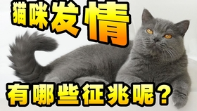 bdad8ed5f047d0a1b5b439988567eab23316c4f6.jpg@280w_158h_1c_100q.jpg