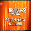 北京电视台各大频道2002年呼号ID合集