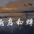 范茹 - 飞鸟和蝉「你骄傲的飞远，我栖息的夏天」【動態歌詞/Lyrics Video】