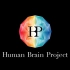 【欧盟人类大脑计划课程】认知神经系统