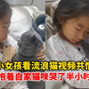 小女孩看流浪猫视频共情，抱着自家猫咪哭了半小时，“她怀中的猫咪曾经也是只流浪猫