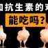 【科普】鸡、抗生素和瘟疫|45天速生鸡的一生|你吃的鸡肉里有抗生素吗？
