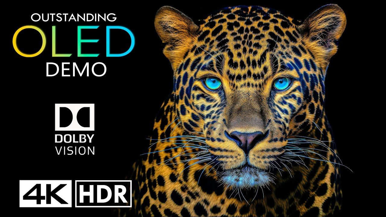 出色 😮杜比视界 4K HDR 120fps 4K 视频超高清