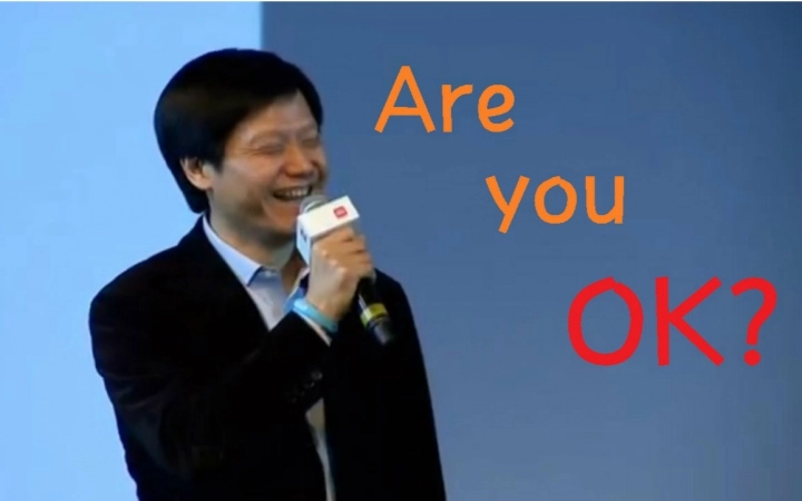 【循环向】跟着雷总摇起来！Are you OK！ 缩略图