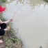 越南二姐用鸡腿做饵料钓鱼，竹竿都拉断好几根，这是在鱼塘吗？
