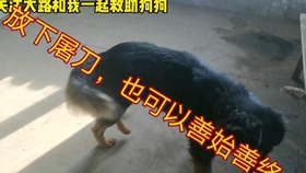 be11a95db5e89eb200173670f2727d44e1708bff.jpg@280w_158h_1c_100q.jpg