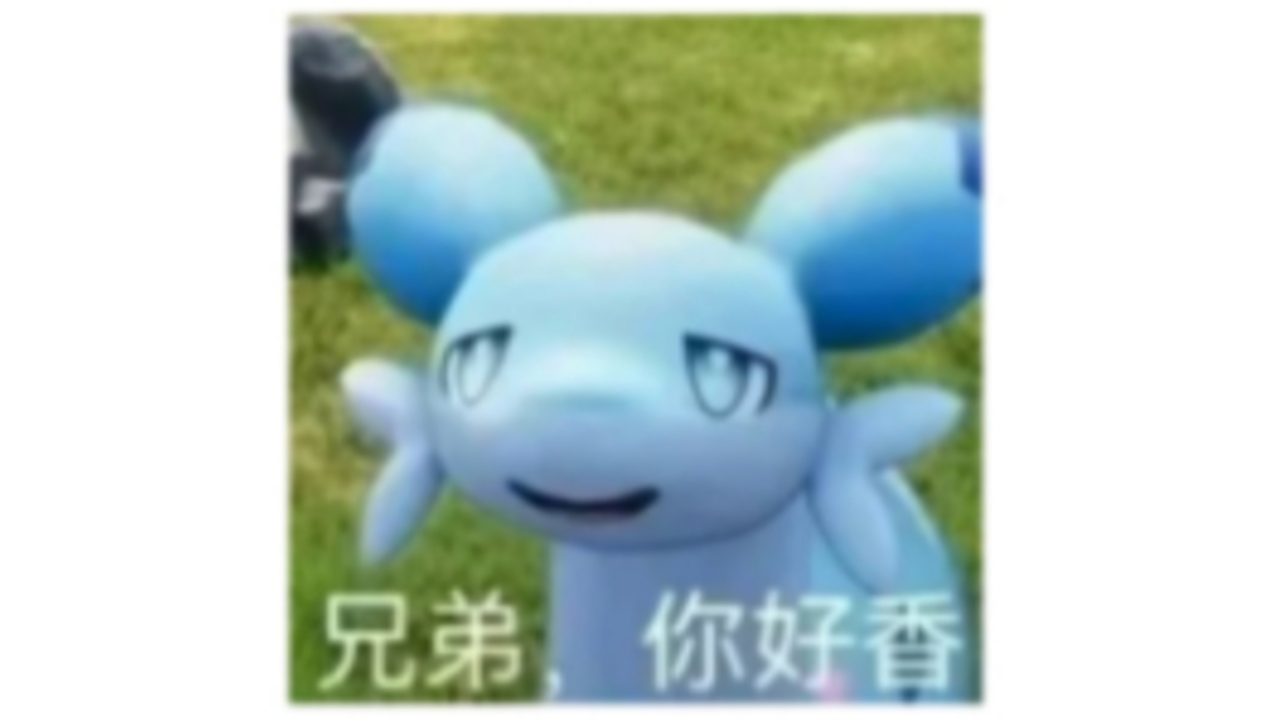 我的兄弟喜欢我？？？