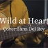 【Cover】Wild at Heart/Lana Del Rey/打雷/吉他