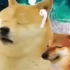 cheems and doge listen to music