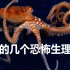 详解章鱼几个诡异、恐怖的生理结构特性