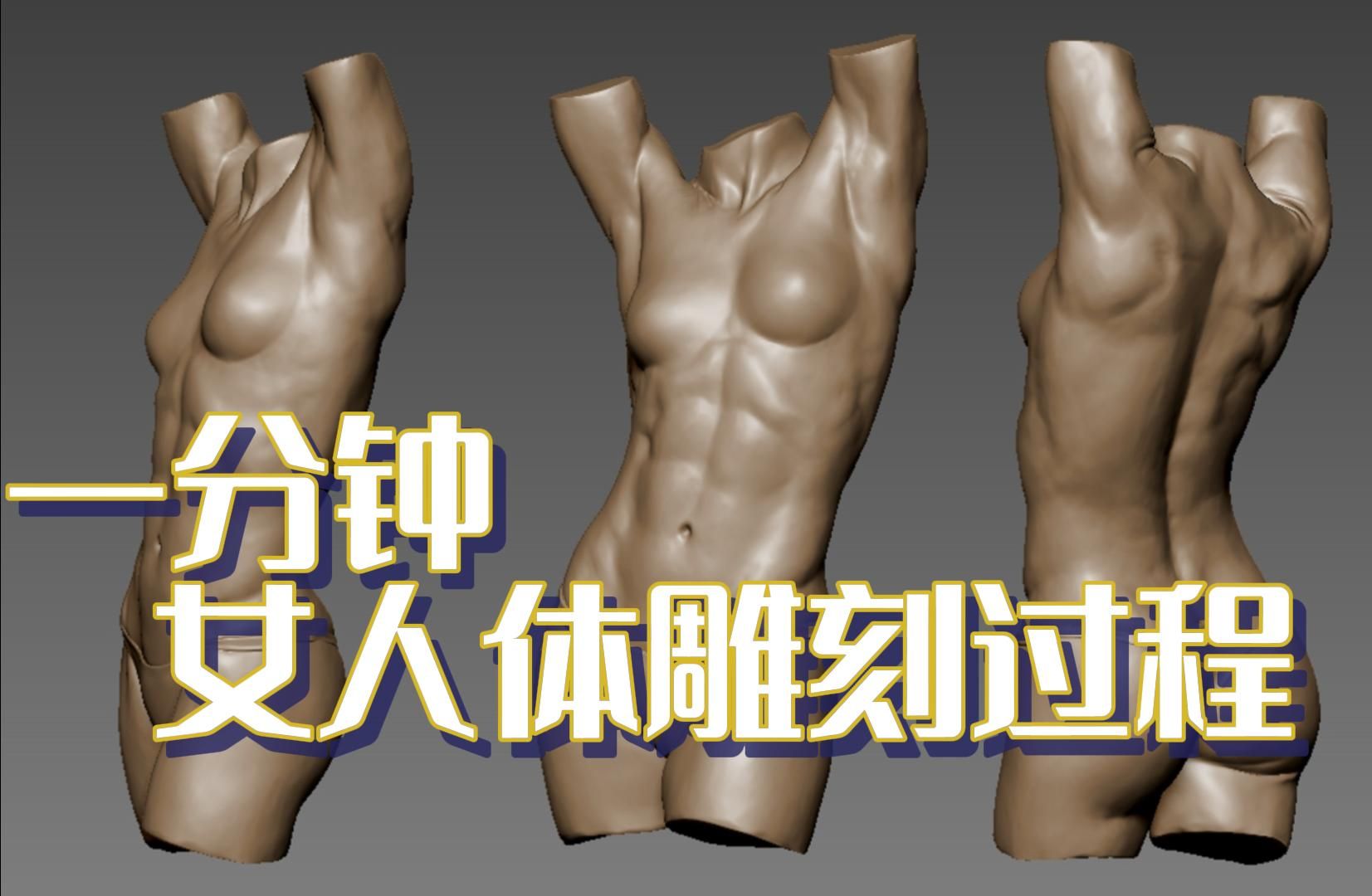 【zbrush】六步雕刻女人体躯干