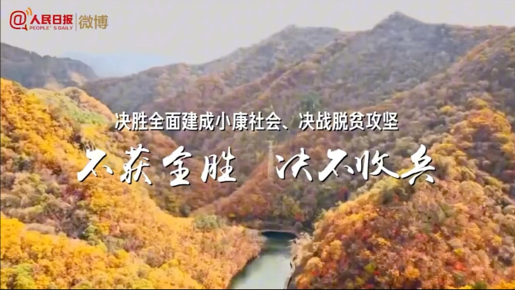 【八下历史教学视频】｜脱贫攻坚战｜22个省区市贫困县清零时间线