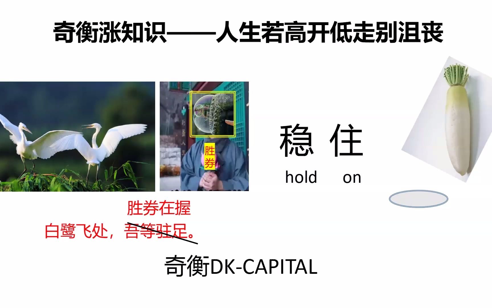 238 人生若高开低走别沮丧，坚持学习！