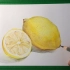 彩铅柠檬