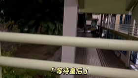 be72ecaa01c3cdc2b8f046fcea544728df926a53.jpg@280w_158h_1c_100q.jpg