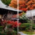 【8K风景】京都山科的神社（毘沙门堂・随心院・劝修寺・岩屋寺）