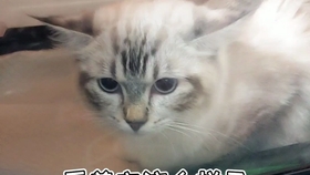 be79be10ed230eb09d5a2a8020e8399c374e766e.jpg@280w_158h_1c_100q.jpg