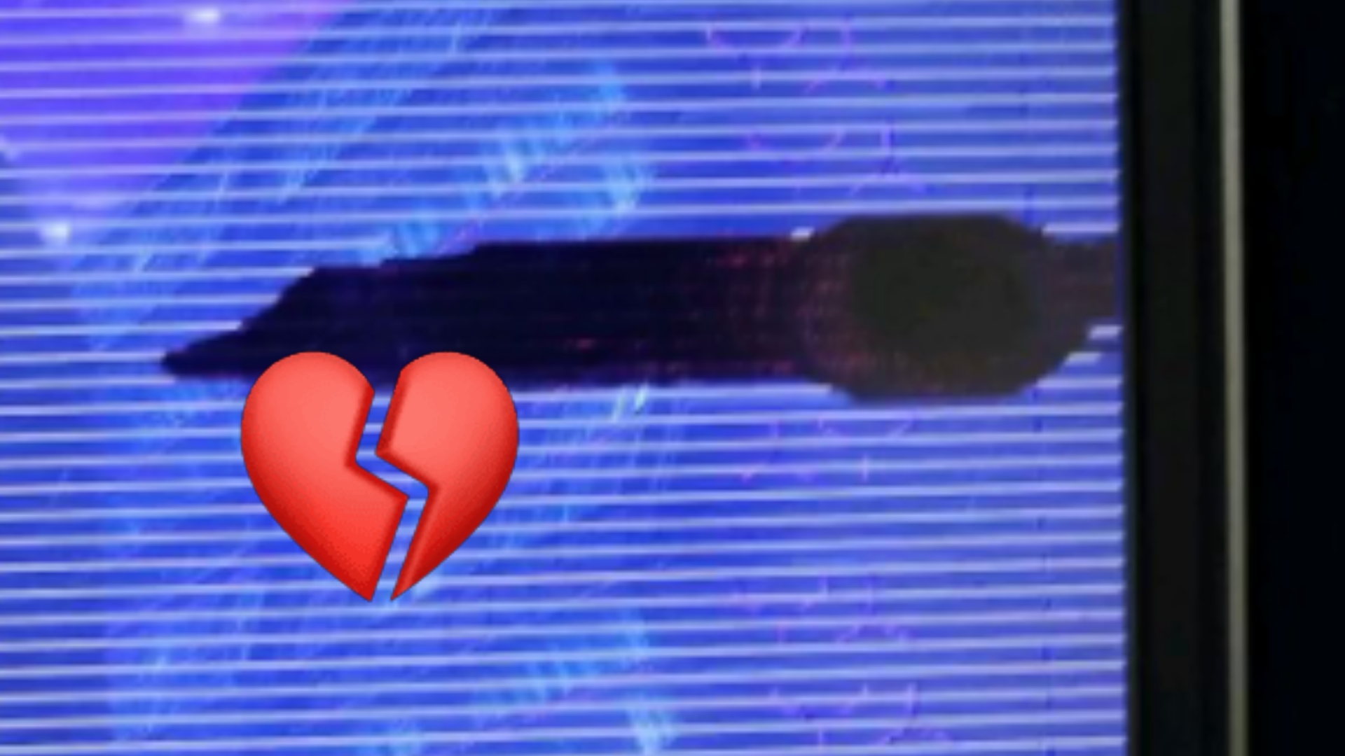 纪念一下电脑里养了一年的宠物…