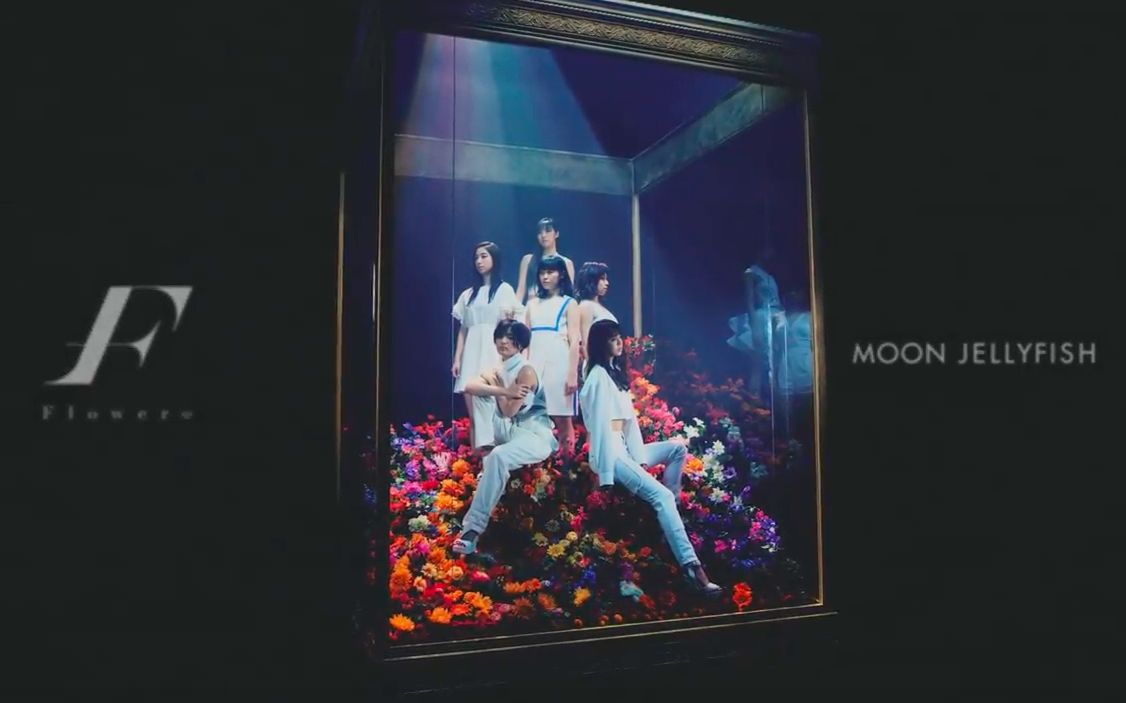 Flower Moon Jellyfish Short Ver Pv 哔哩哔哩 つロ干杯 Bilibili