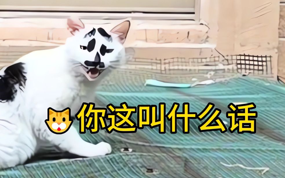 “有些小猫是边角料做的吧！”