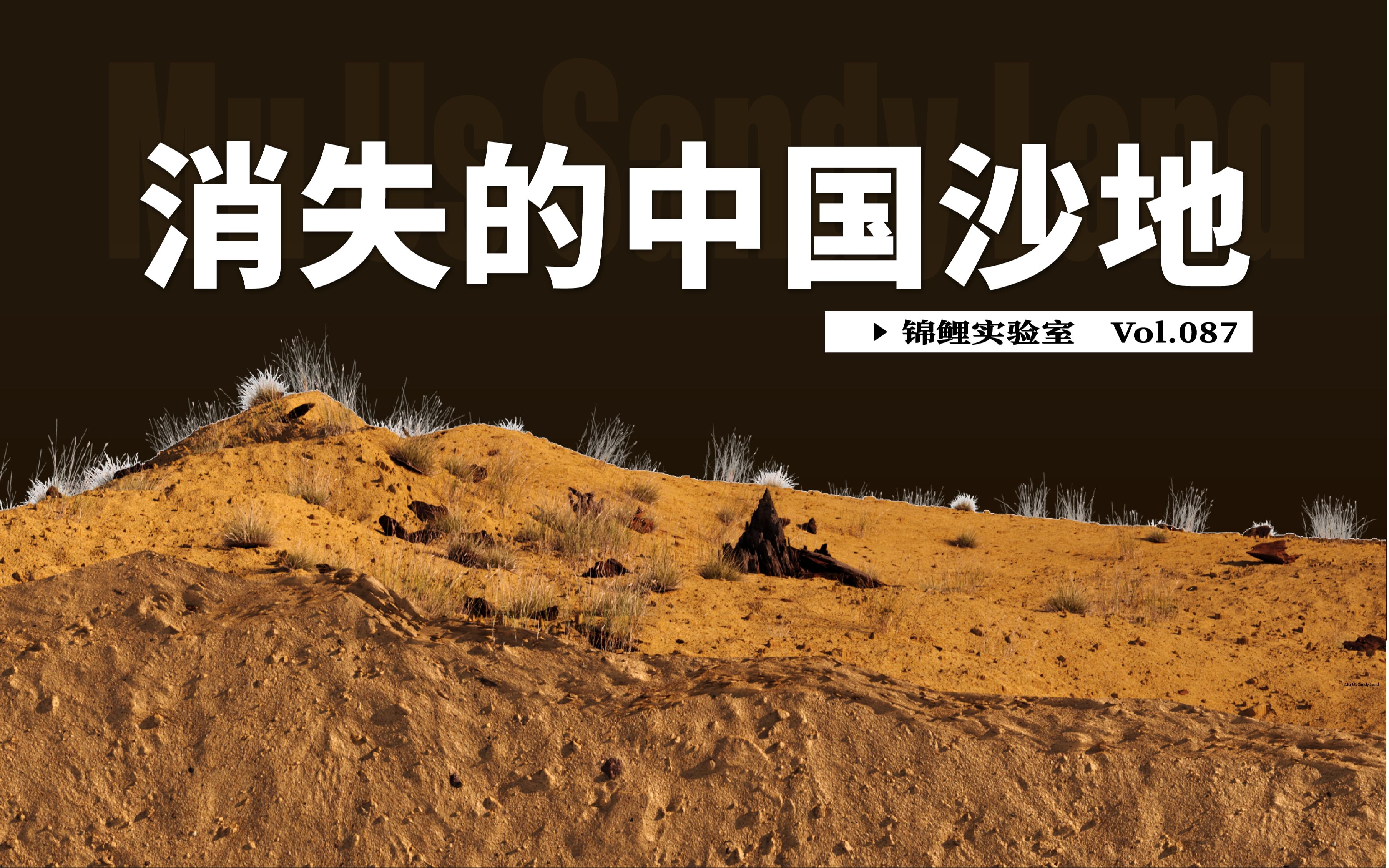 中国治沙人如何让毛乌素沙地变绿洲？