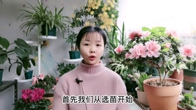 bed4b88f3ddcc441e7648cbf0d8f94669a658db9.jpg@280w_158h_1c_100q.jpg