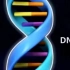 【生物】3D动画演示DNA复制原理