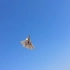 F-22航模花式飞行 无人机 固定翼
