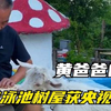 黄爸爸的家：给孙子造树屋泳池，与烤串相爱相杀，别人家的爷爷