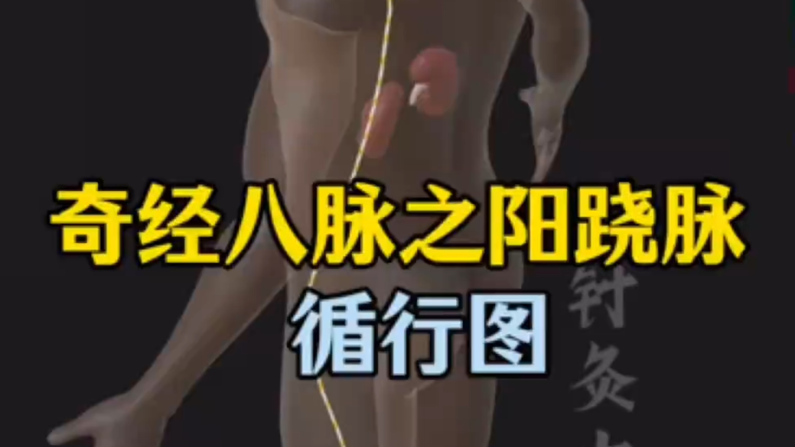 奇经八脉之阳跷脉循行路线及功效