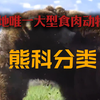 陆地唯一大型食肉动物的科，却大多数吃素？熊科分类