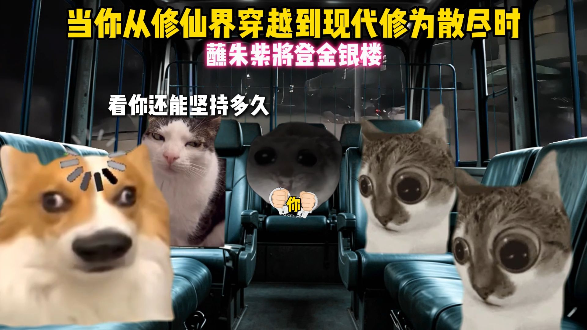 当你从修仙界穿越到现代修为散尽时