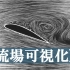 【中文字幕】《流体场的可视化》 美国斯坦福大学  流体力学20世纪教学影片