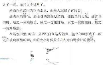 【小学课文朗读】五上 白鹭