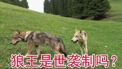 bf890598984faa82ae5463cdd522c80758892e17.jpg@480w_270h_1c