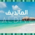 ⚜4K超清⚜ «马尔代夫» 风景如画的美丽海滩，放松电影与安静的音乐