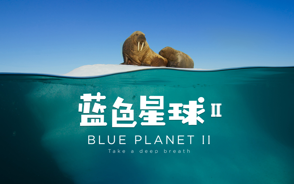 【纪录片】蓝色星球 第二季（中配版） 01 一个海洋