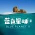 【纪录片】蓝色星球 第二季 01 一个海洋