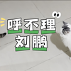 刘鹏求爱失败记（x