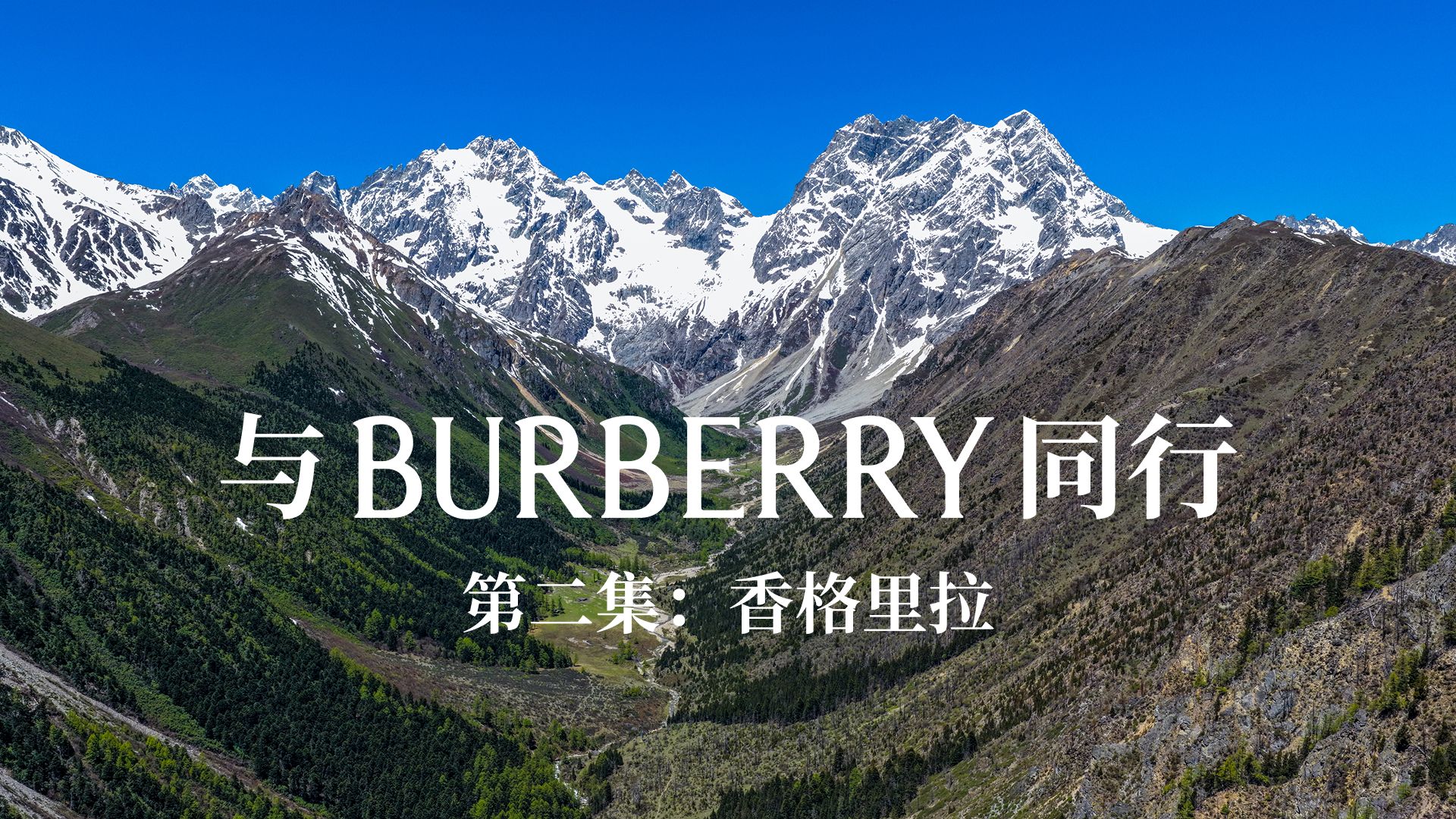 我们去香格里拉看了一场植物界的“绝境求生”，《与Burberry 同行》第二集