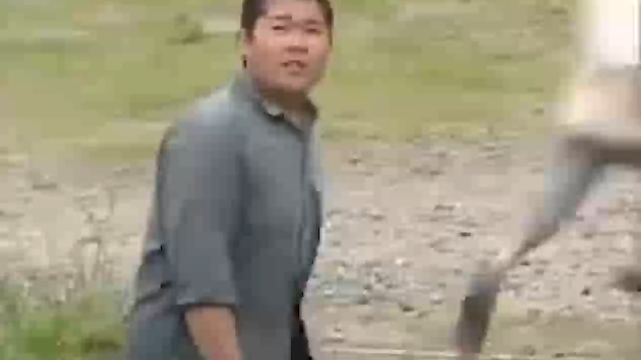 ai测试-不同翻译引擎对比-《童年轶事》04