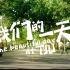 《我们的一天》——天津大学2022年招生宣传片